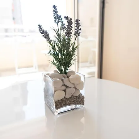 Apartment Ancora 3